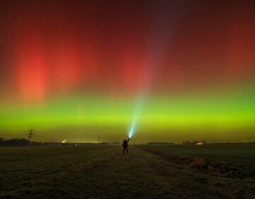 Les impacts des labels RSE : vraie valeur ajoutée ou outil de communication ?