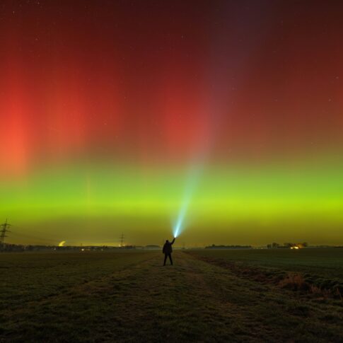 Les impacts des labels RSE : vraie valeur ajoutée ou outil de communication ?